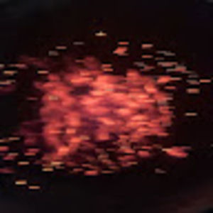 Meet your Posher, Spero